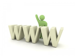 Professional Web Design Services For Online Businesses 