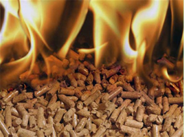 Some Essential Tips To Keep In Mind On How To Maintain Biomass Pellet Mills
