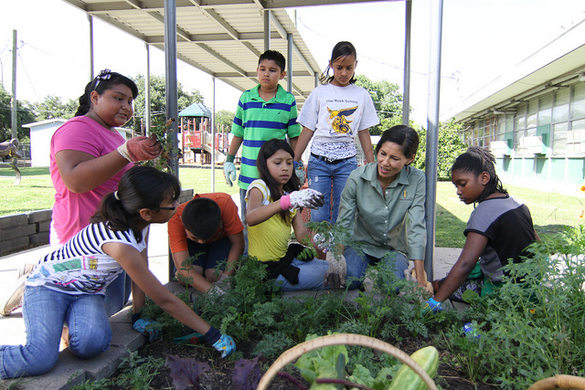 Green Fingers For Improved Learning Capabilities